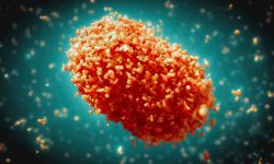 الصحة العالمية تحذر بشدة  من وباء "إمبوكس"